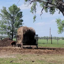 Buffalo Bill Ranch State Historical Park - Lexington
