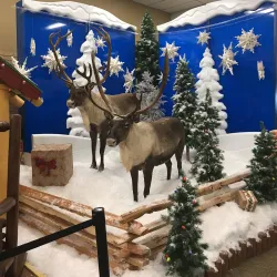 Cabela's - Lexington