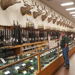 Cabela's - Lexington