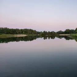 Cottonmill Park - Lexington