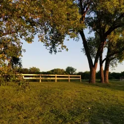 Cottonmill Park - Lexington