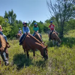 Cottonmill Park - Lexington