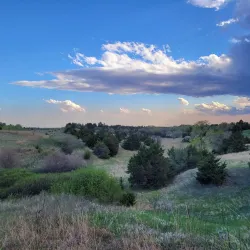 Cottonmill Park - Lexington