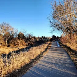 Cottonmill Park - Lexington