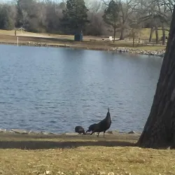 Cottonmill Park - Lexington