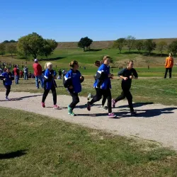 Lexington Golf Course - Lexington