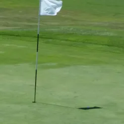 Lexington Golf Course - Lexington