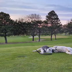 Lexington Golf Course - Lexington