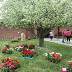 Lexington Historic Downtown - Lexington