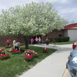 Lexington Historic Downtown - Lexington