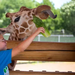 Lincoln Children's Zoo - Lincoln