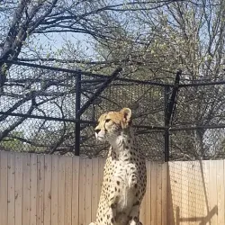 Lincoln Children's Zoo - Lincoln