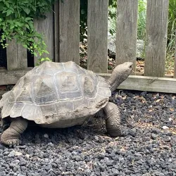 Lincoln Children's Zoo - Lincoln