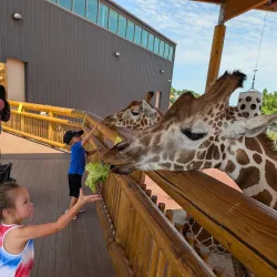 Lincoln Children's Zoo - Lincoln