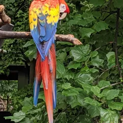 Lincoln Children's Zoo - Lincoln