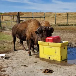 Pioneers Park Nature Center - Lincoln