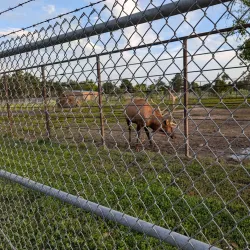 Cody Park - North Platte