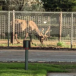 Cody Park - North Platte