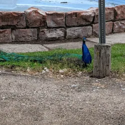 Cody Park - North Platte