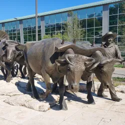 Bob Boozer Statue and Sculpture Park - Omaha