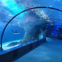 Henry Doorly Zoo and Aquarium - Omaha