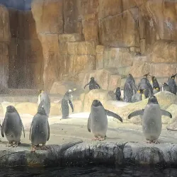 Henry Doorly Zoo and Aquarium - Omaha