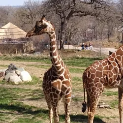 Henry Doorly Zoo and Aquarium - Omaha