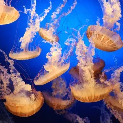 Henry Doorly Zoo and Aquarium - Omaha