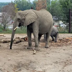 Henry Doorly Zoo and Aquarium - Omaha