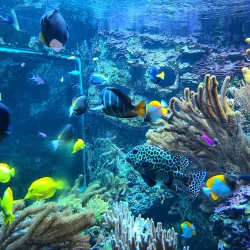 Henry Doorly Zoo and Aquarium - Omaha