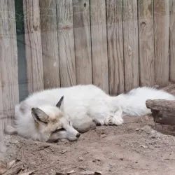 Riverside Discovery Center - Scottsbluff