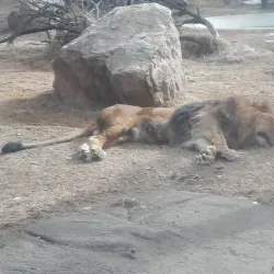 Riverside Discovery Center - Scottsbluff