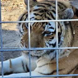 Riverside Discovery Center - Scottsbluff