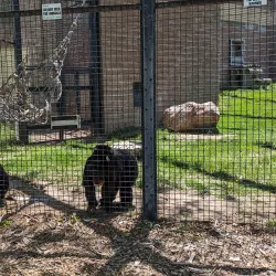 Riverside Discovery Center - Scottsbluff