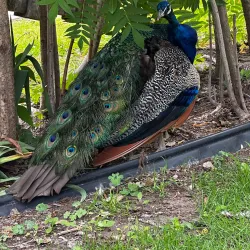 Riverside Discovery Center - Scottsbluff