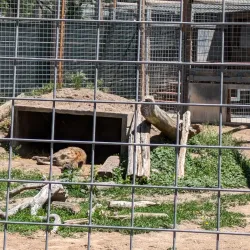 Riverside Discovery Center - Scottsbluff