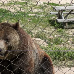 Riverside Discovery Center - Scottsbluff