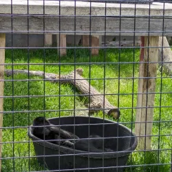 Riverside Discovery Center - Scottsbluff