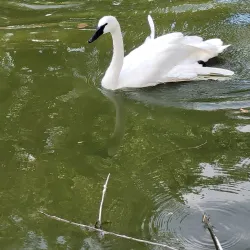 Riverside Discovery Center - Scottsbluff