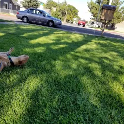 Scottsbluff Aquatic Center - Scottsbluff