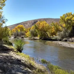 Carson River Park - Carson City