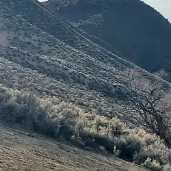 Carson River Park - Carson City