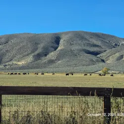 Carson River Park - Carson City