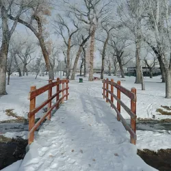 Mills Park - Carson City