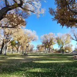 Mills Park - Carson City