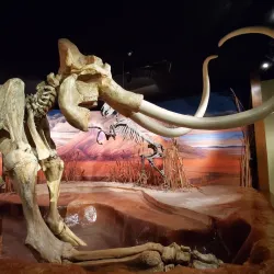 Nevada State Museum - Carson City