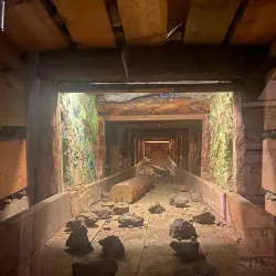 Nevada State Museum - Carson City