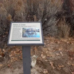 Silver Saddle Ranch - Carson City