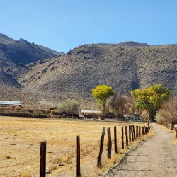 Silver Saddle Ranch - Carson City