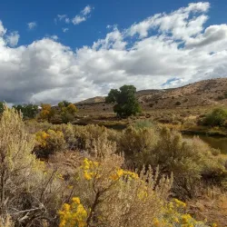 Silver Saddle Ranch - Carson City